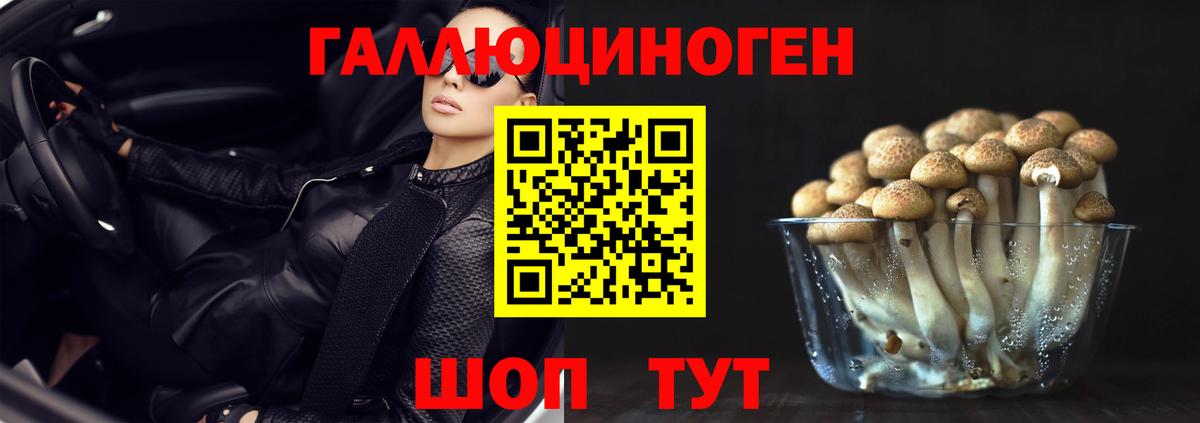 Тихвин  Псилоцибиновые грибы MAGIC MUSHROOMS  Вход с VPN  Галлюциногенные грибы мицелий 